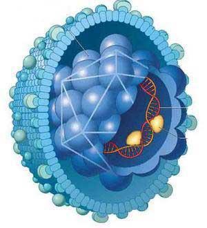 新型流感病毒